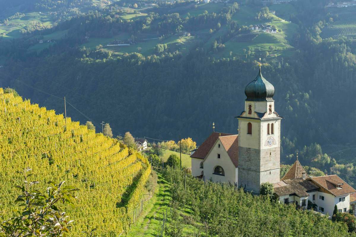 Riffian in Südtirol