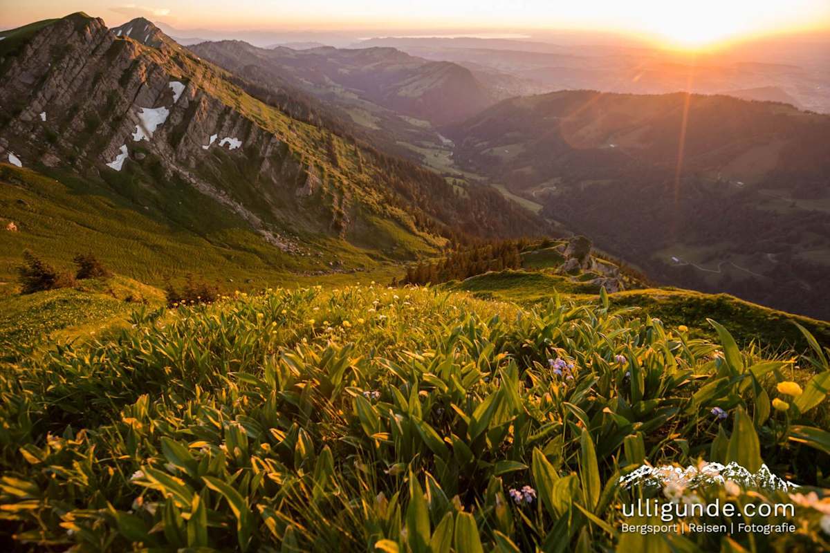 Rindalphorn, Allgäu 