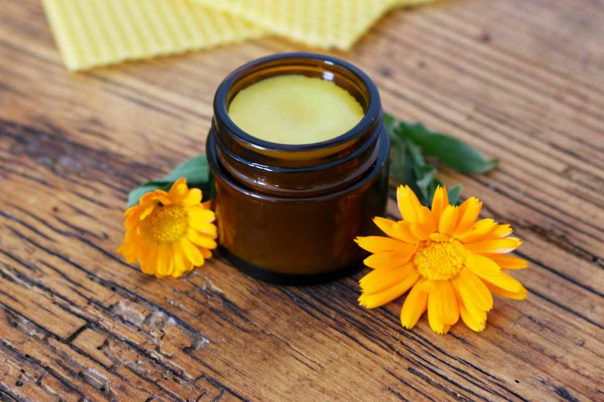 Ringelblumensalbe: Kälteschutz für die Haut