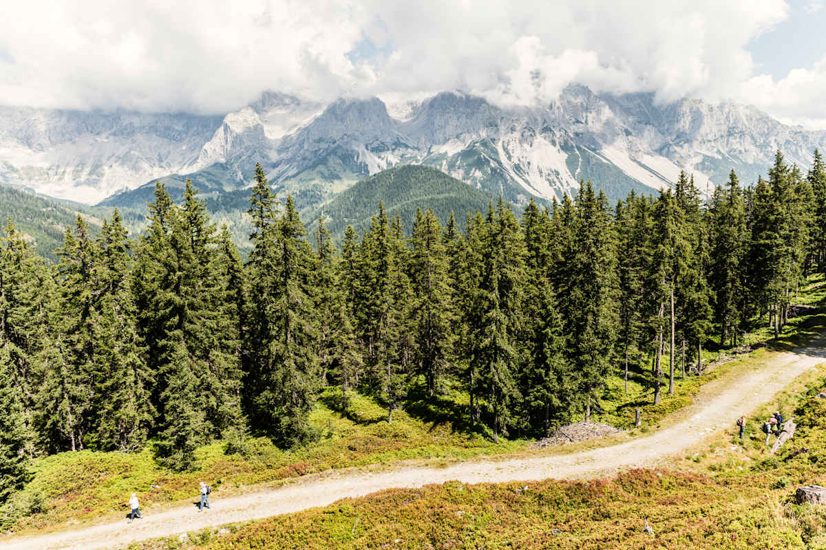 Das wunderschöne Dachstein-Panorama.