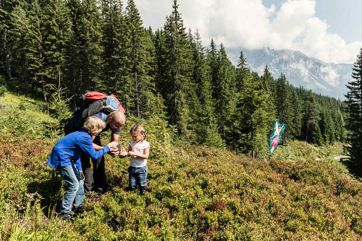 Die drei Wanderer zwischen den Heidelbeeren.