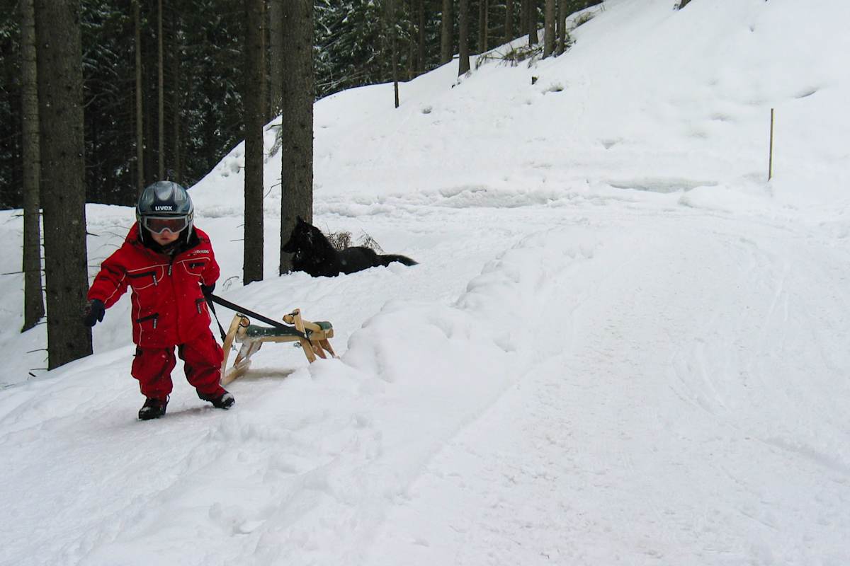 Pertisau in Tirol: Rodeln mit Kindern