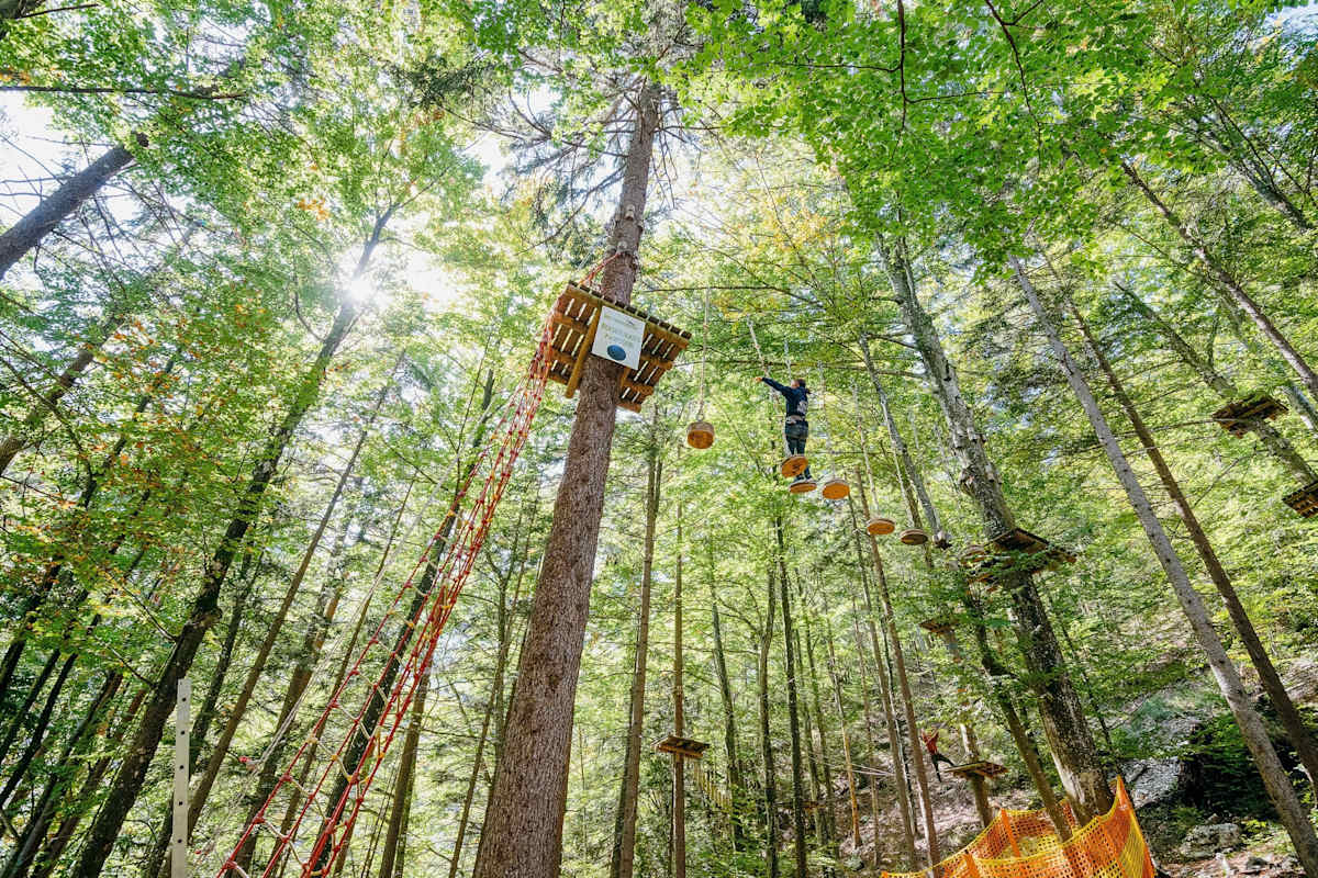 Ein Hochseilgarten im Wald.