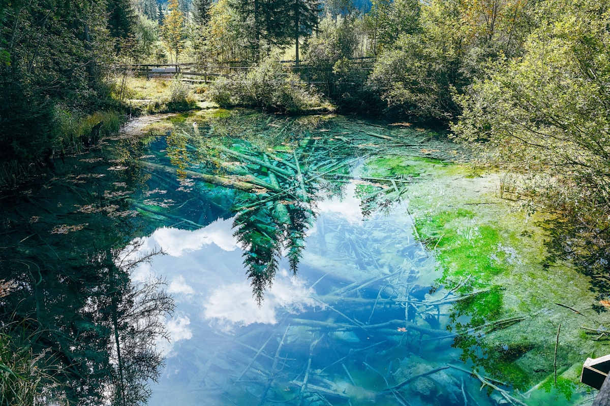 Ein glasklarer Teich in der Natur.