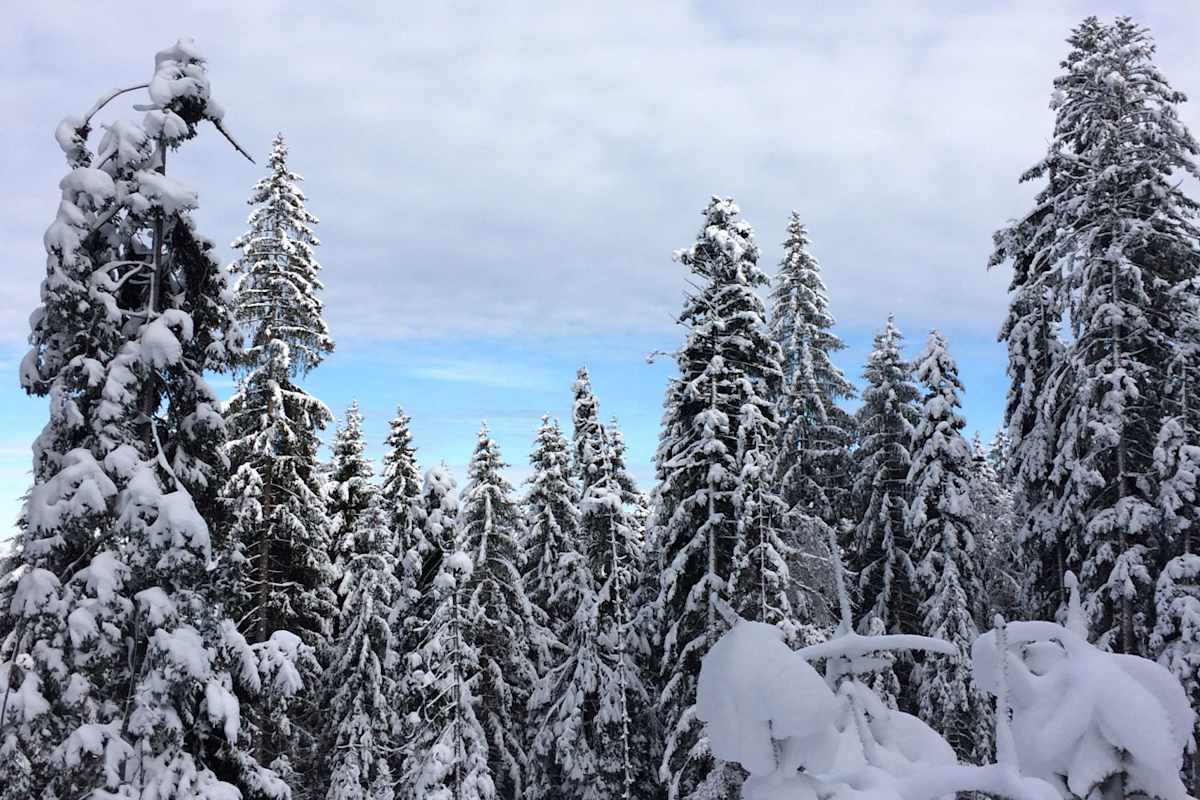 Spitzingsee in Bayern
