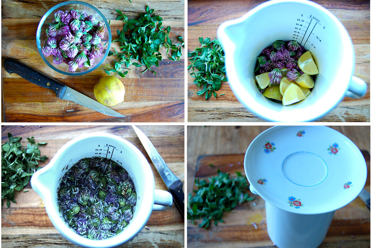 Rotklee-Sirup zum Selbermachen: Zubereitung