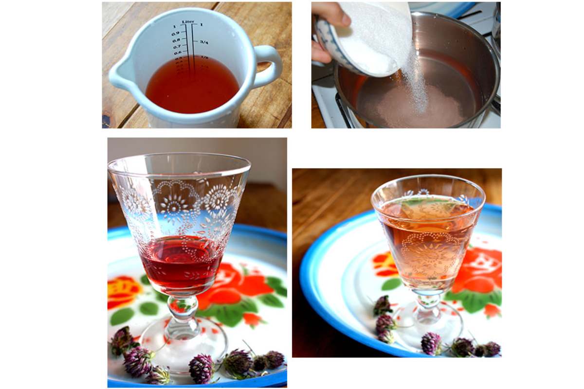 Rotklee-Sirup zum Selbermachen: Zubereitung