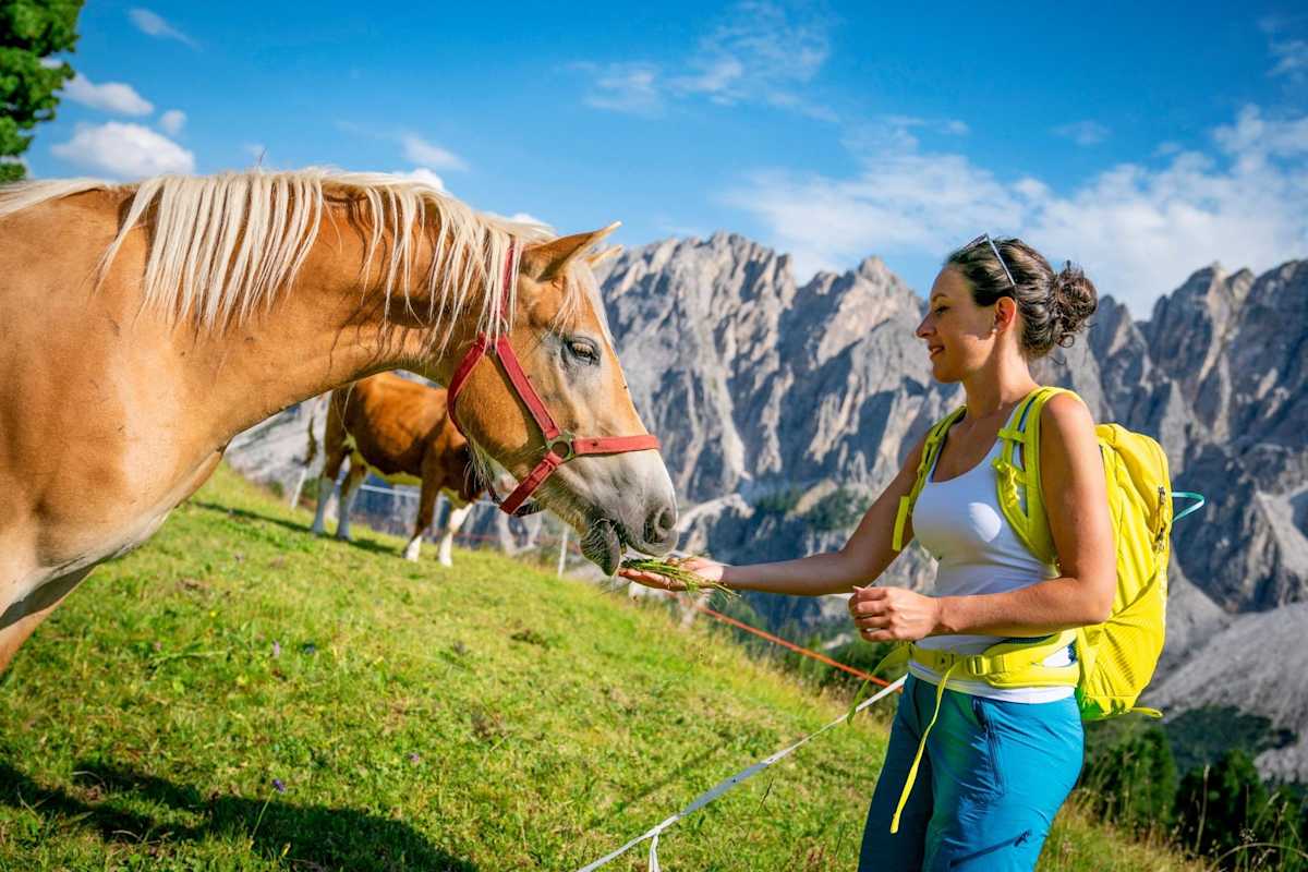 Eine Frau füttert ein Pferd auf der Alm
