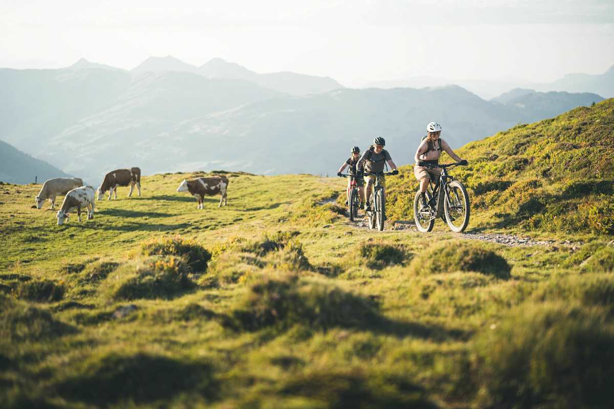 Dank E-Bike steigen wieder mehr Menschen aufs Rad, machen Sport und genießen die Landschaft.