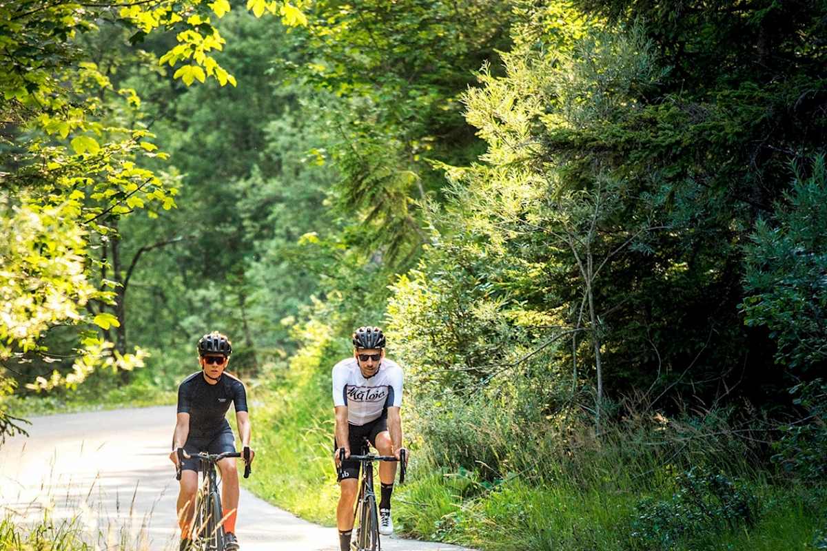 Die Bikeprofis fahren im Wald auf den Berg. 