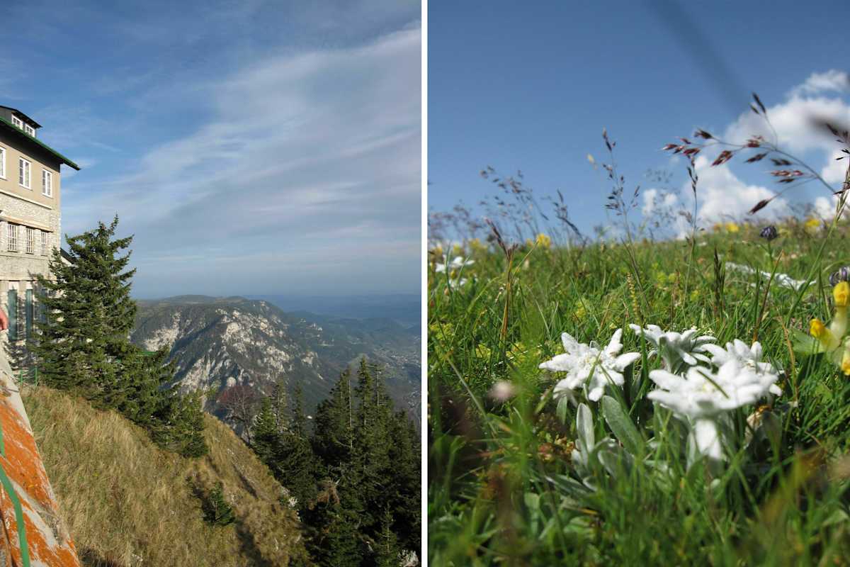 Otto Haus auf der Rax und Edelweiß