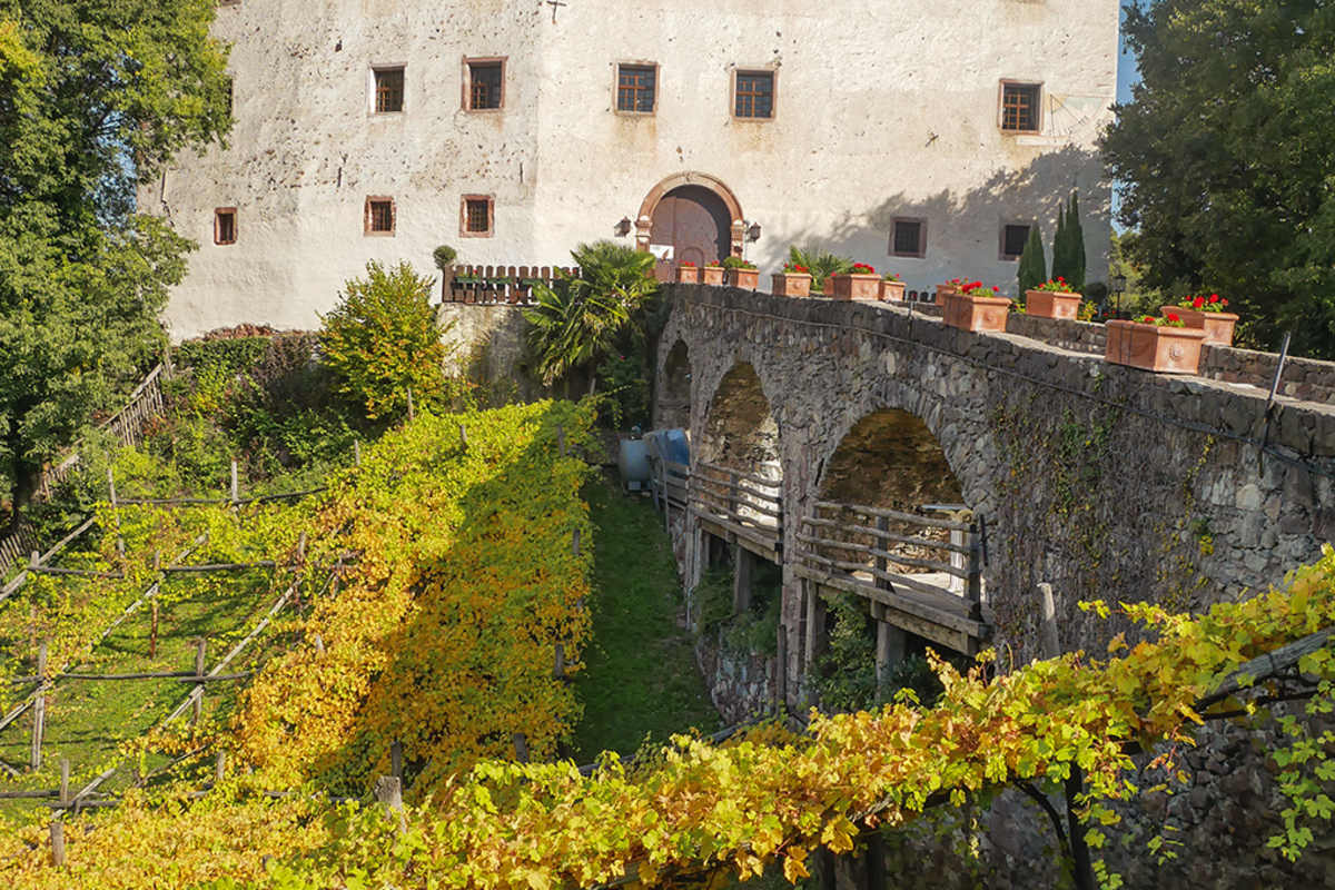 Schloss Katzenzungen mit dem ältesten Rebstock