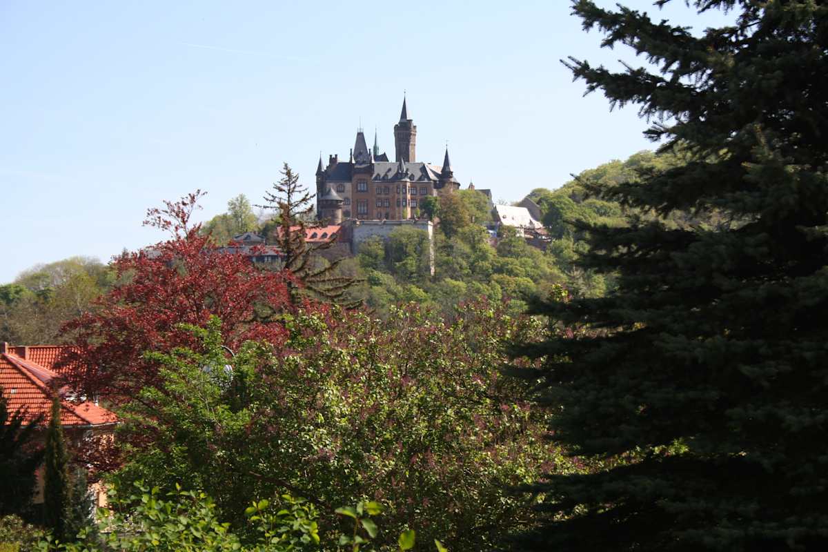 Langzeitwandern: 24h Trophy