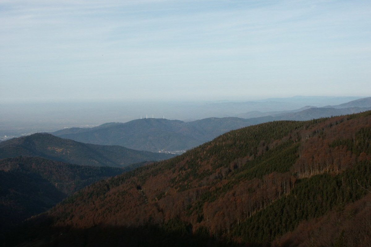 5 Wanderungen im Schwarzwald
