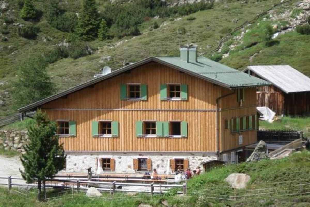 Zirben-Ernte: Hier gibt es den besten Zirbenschnaps