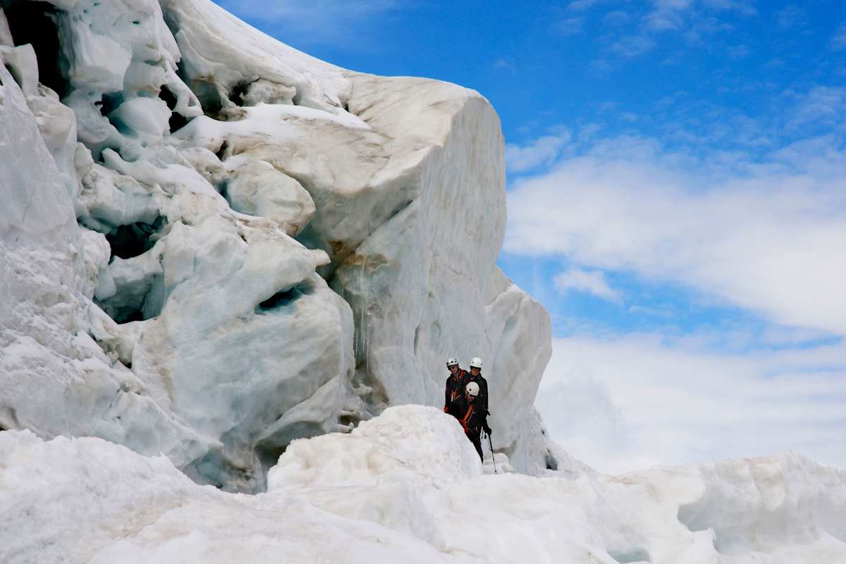 Weissmies in den Walliser Alpen: Weißes Moos