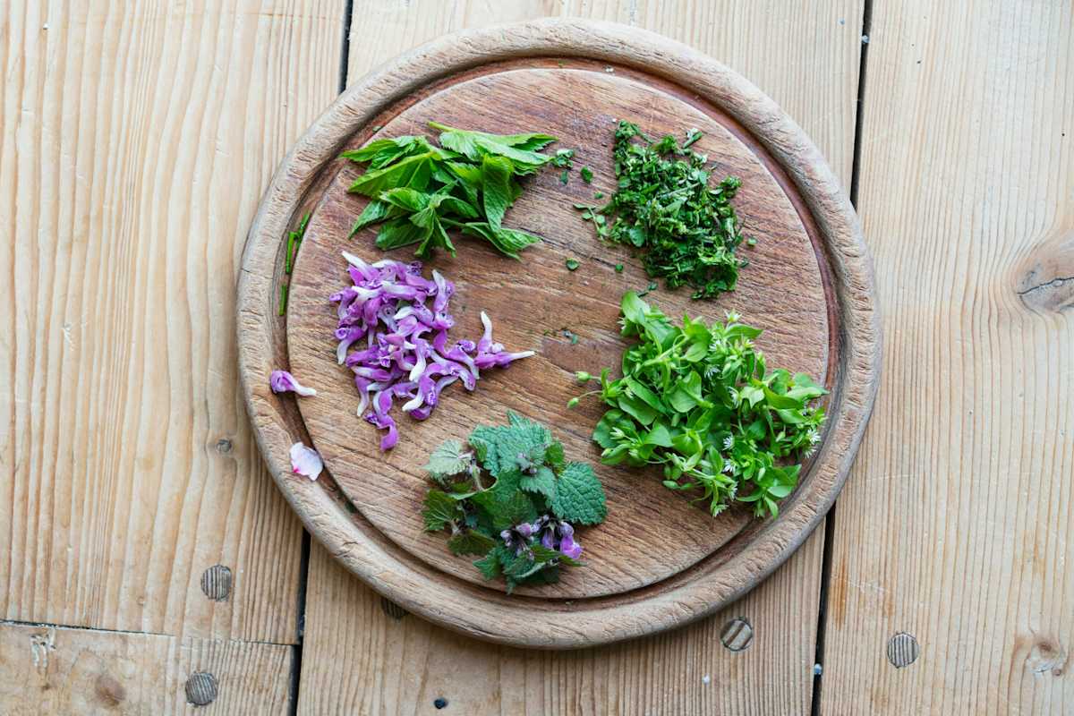 Behaartes Schaumkraut, Giersch, Vogelmiere, Taubnessel