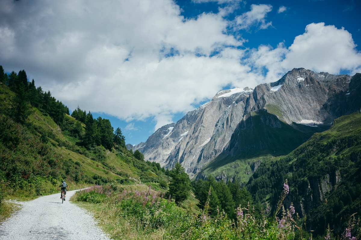 MTB Fair Play Regeln