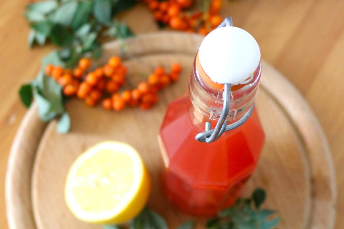Selbstgemachter Vogelbeersirup