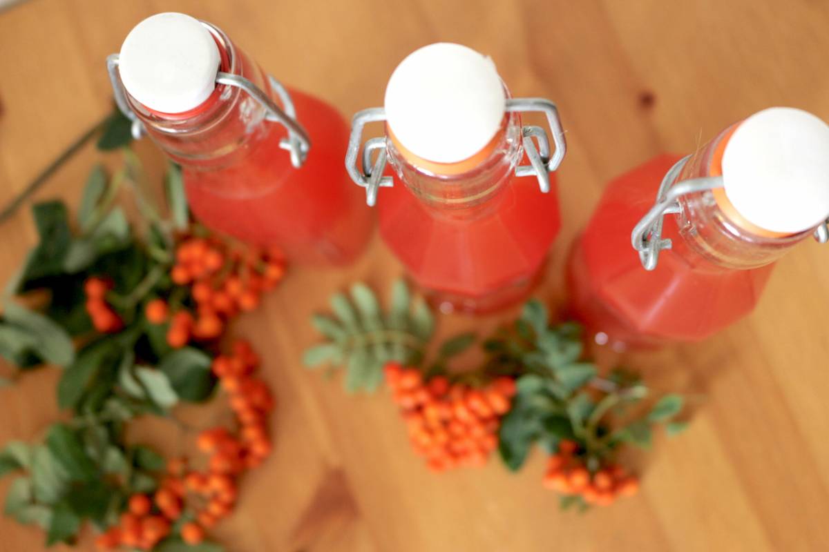 Wildobst lässt sich erstaunlich vielseitig verarbeiten