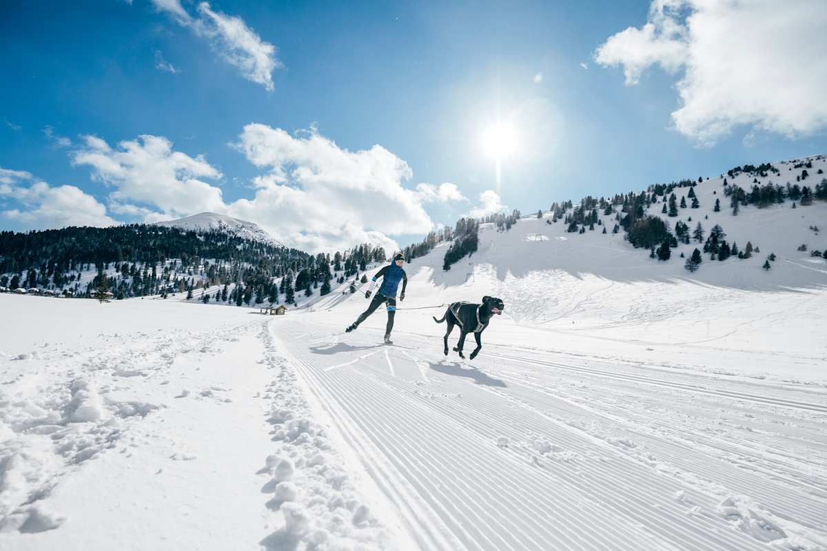 Anna Milazzi Skijöring