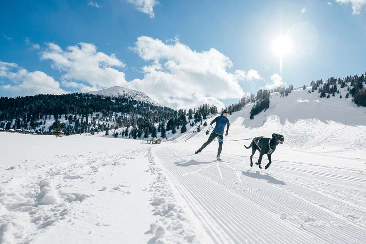 Anna Milazzi und ihr Hund Finn beim Skijöring