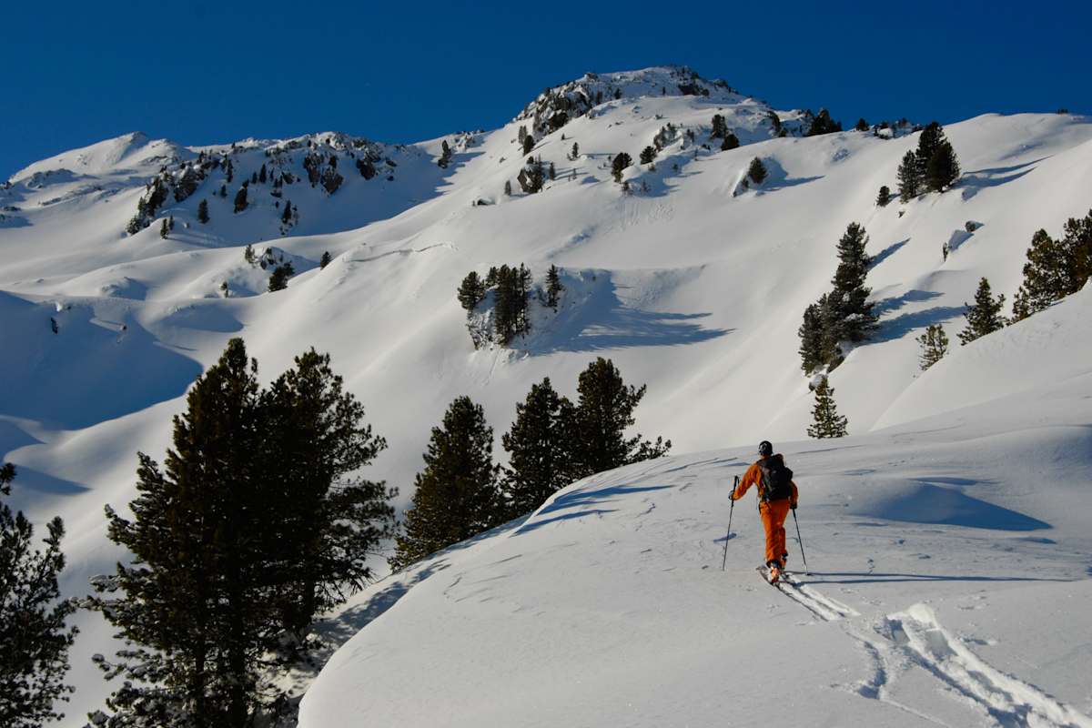 Skitourengeher im Gelände