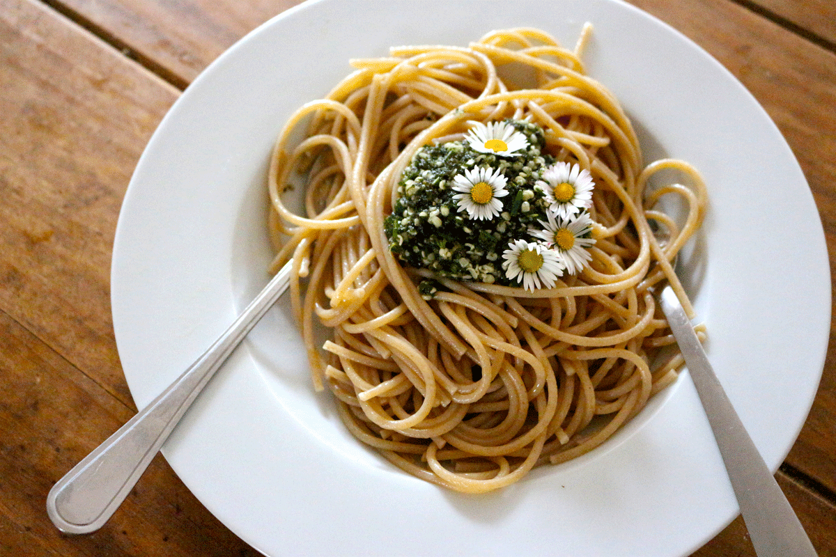 Gänseblümchen-Blüten sind eine vitaminreiche und hübsche Dekoration für viele Speisen