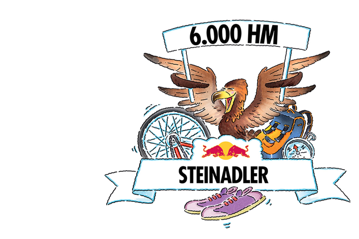 Berg-Know-How: Tiere der Alpen