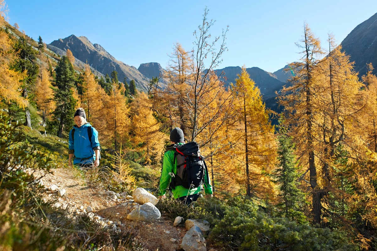 Wanderer im goldenen Lärchenwald kurz unter der Baumgrenze, dahinter sanfte Gipfel