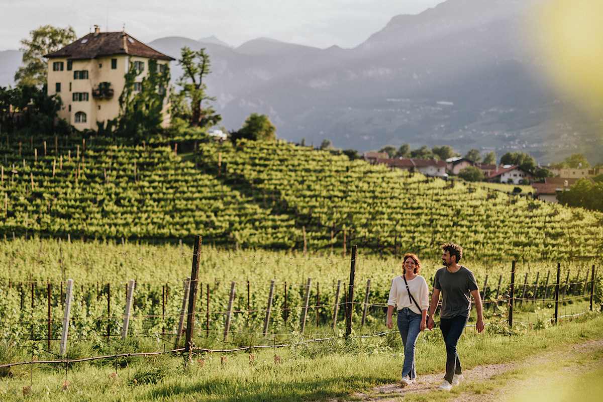 Zu sehen ist ein Paar welches inmitten der sonnigen Südtiroler Weinberge umherwandert.
