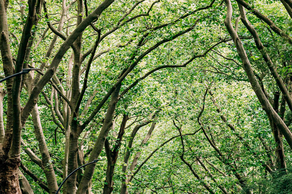 Je geringer das Gewicht, desto geringer der Verbrauch und die Abgase und somit natürlich auch die Tankkosten