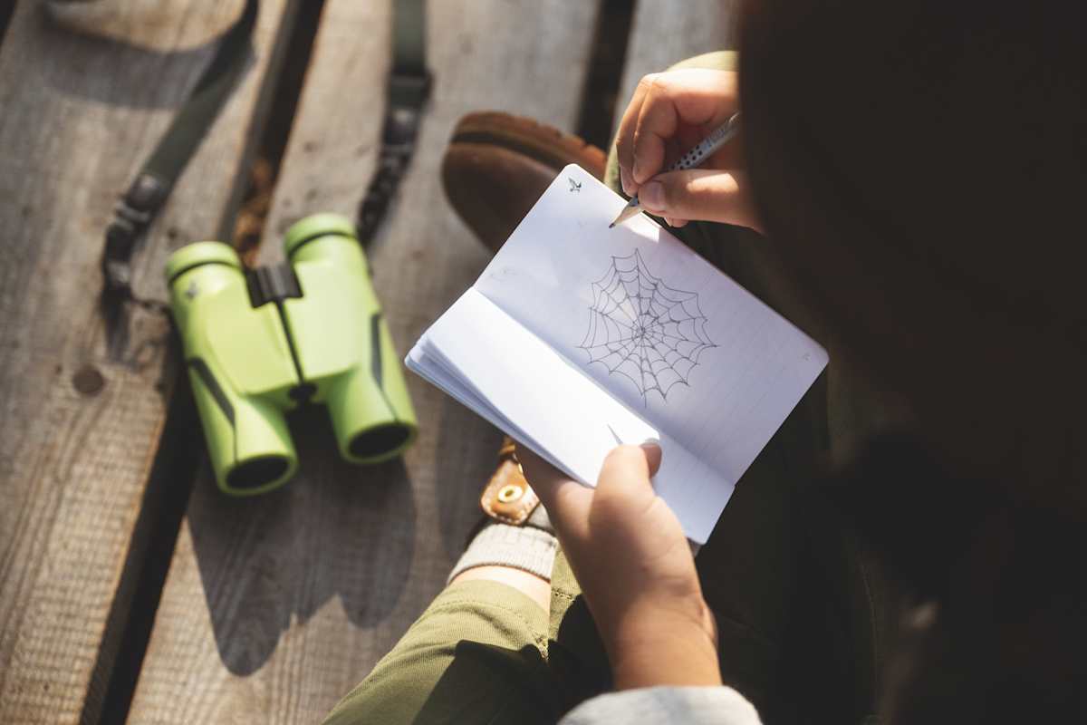 Wie richtige Forscher und Entdecker sammeln Kinder ihre Erkenntnisse über die Natur.