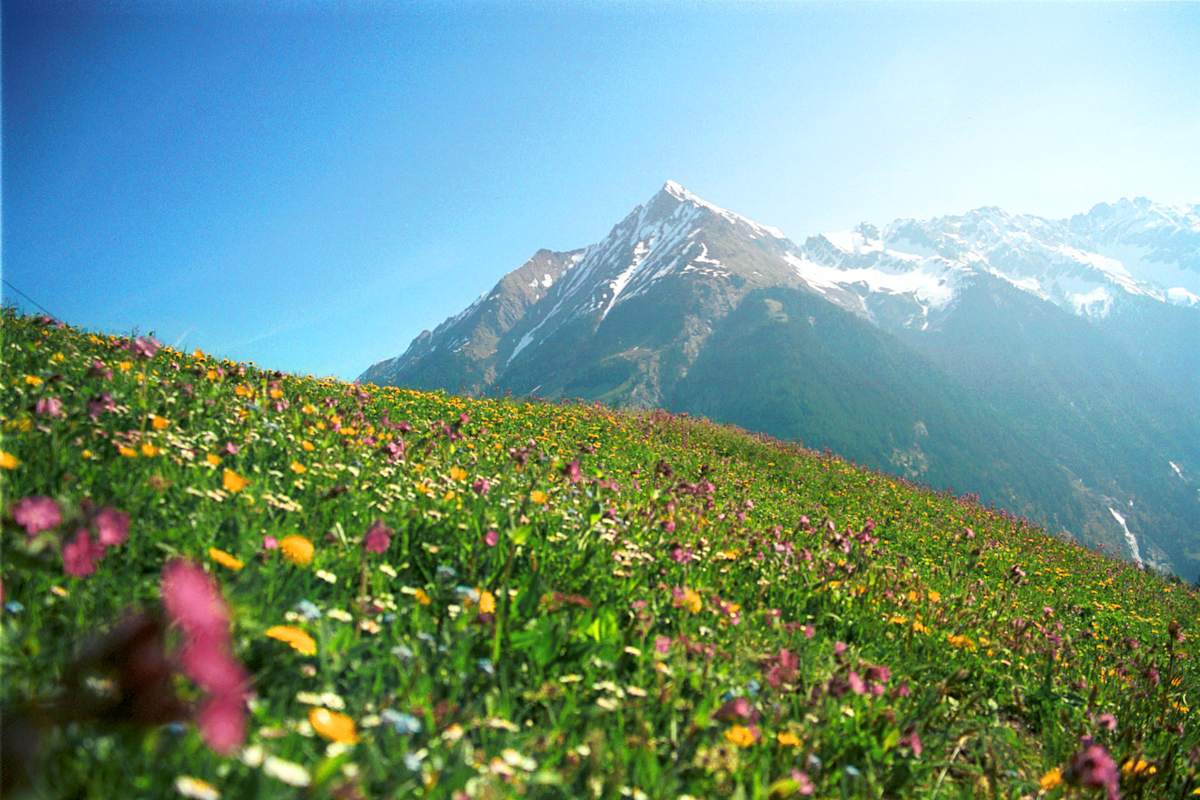 6 Hütten, die das Klima retten