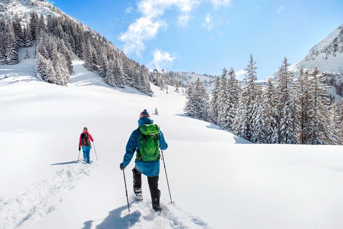 Schneeschuhwandern zwischen schneebedeckten Bäumen