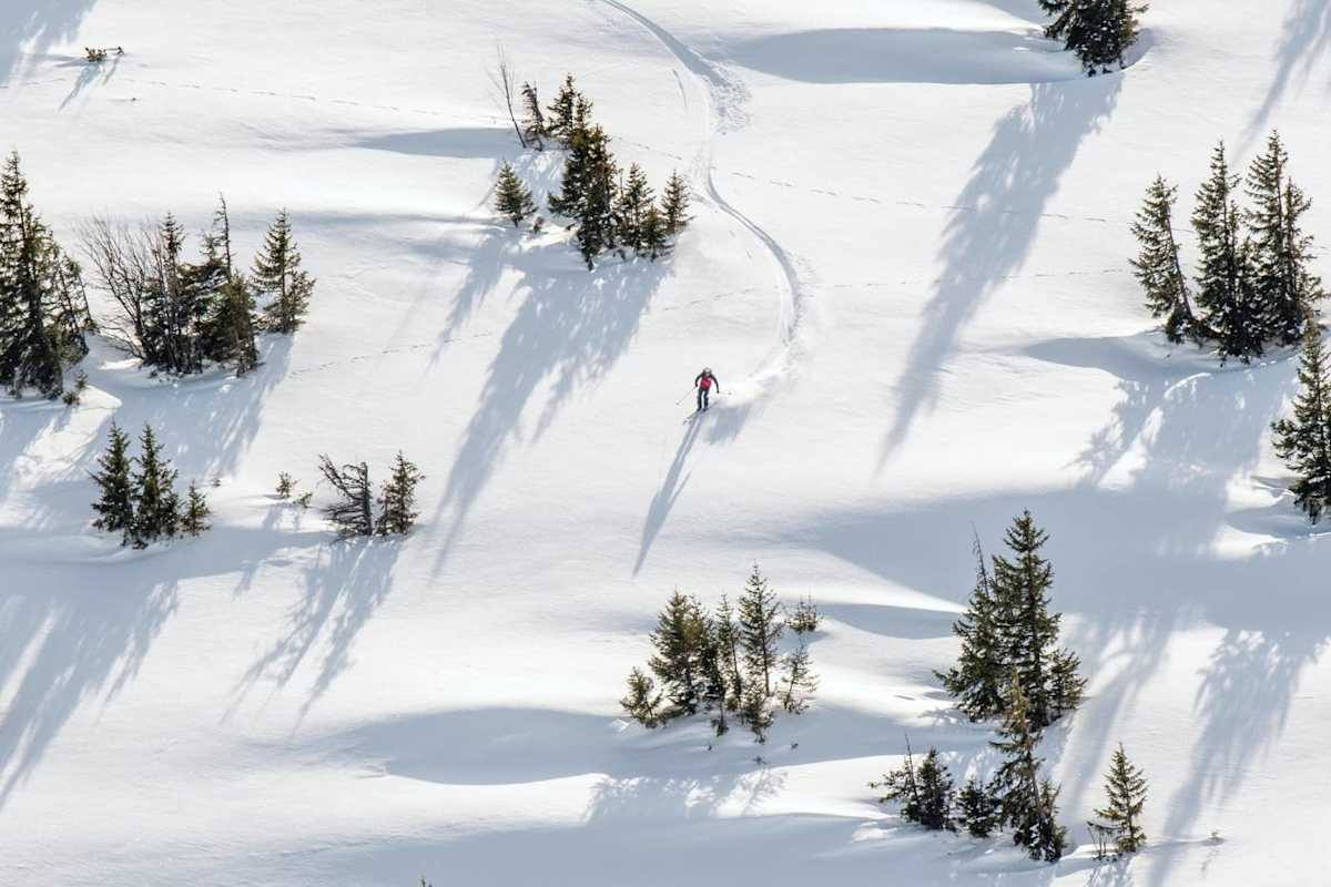 Unverspurtes Gelände erwartet einen auf der Abfahrt zwischen Tannen und Latschen
