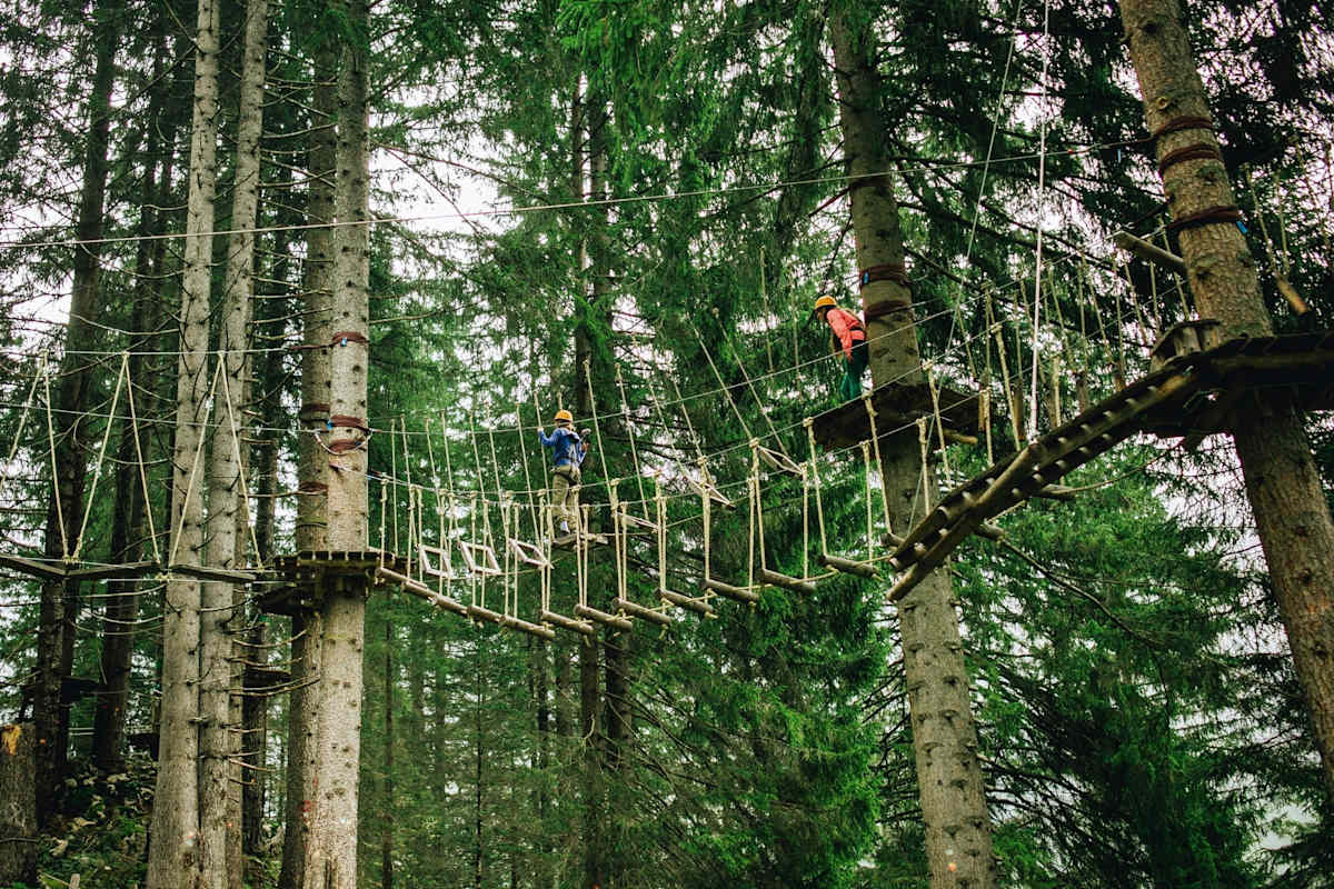 Kletterbrücke zwischen zwei Bäumen