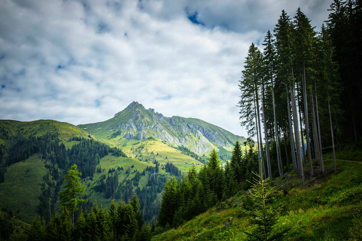Nach dem Start geht es vom Parkplatz Hallmoosalm Richtung Karteisalm. Hier sieht man zum ersten Mal den Draugstein 2.359m