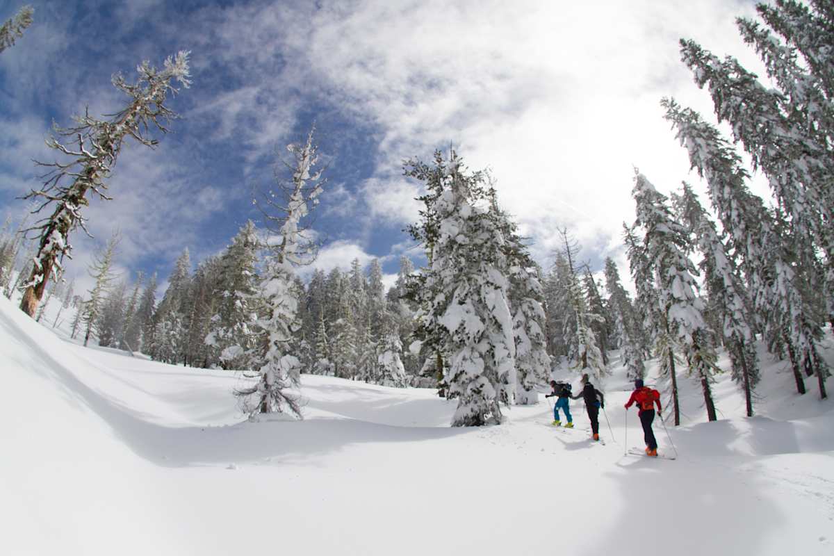 Mit dem Cochise 130 beim Aufstieg im Winterwald
