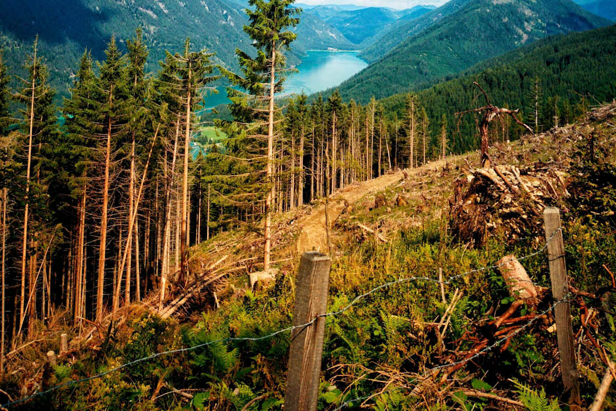 Der türkisblaue Weissensee am Fuße der Gailtaler Alpen