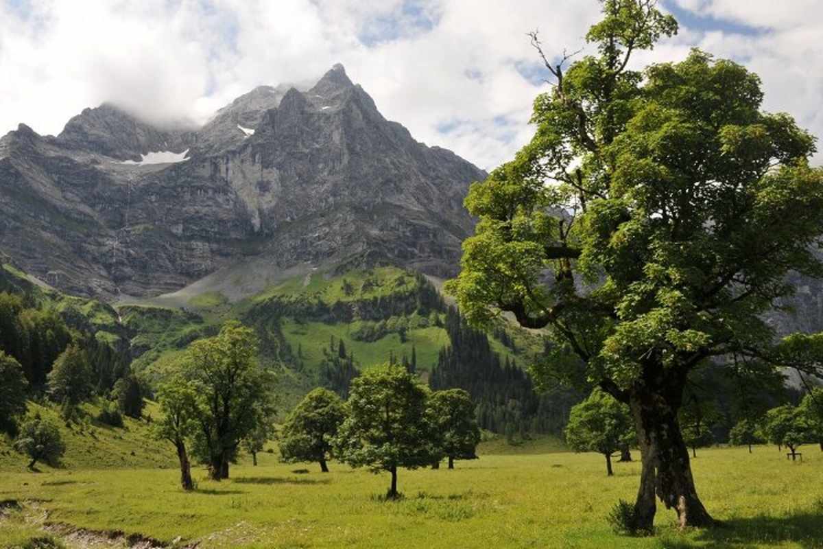 Großer Ahornboden im Naturpark Karwendel
