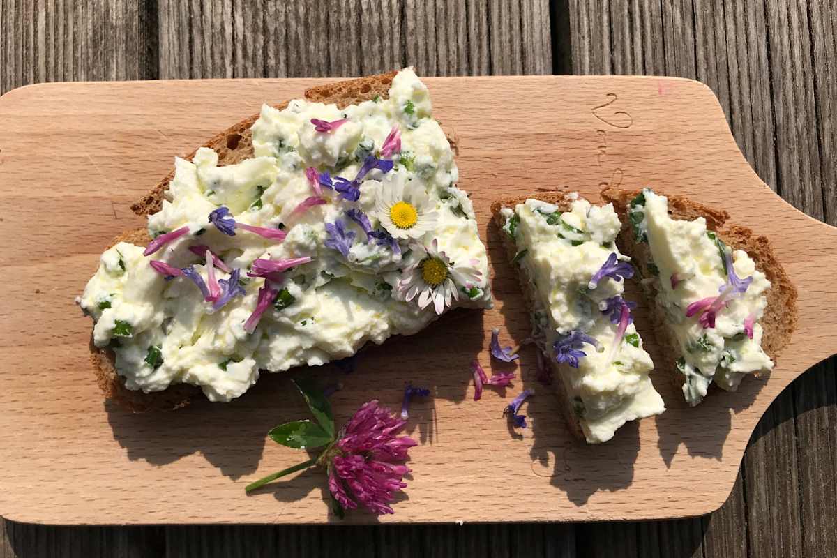 Topfenaufstrich mit Wildkräutern