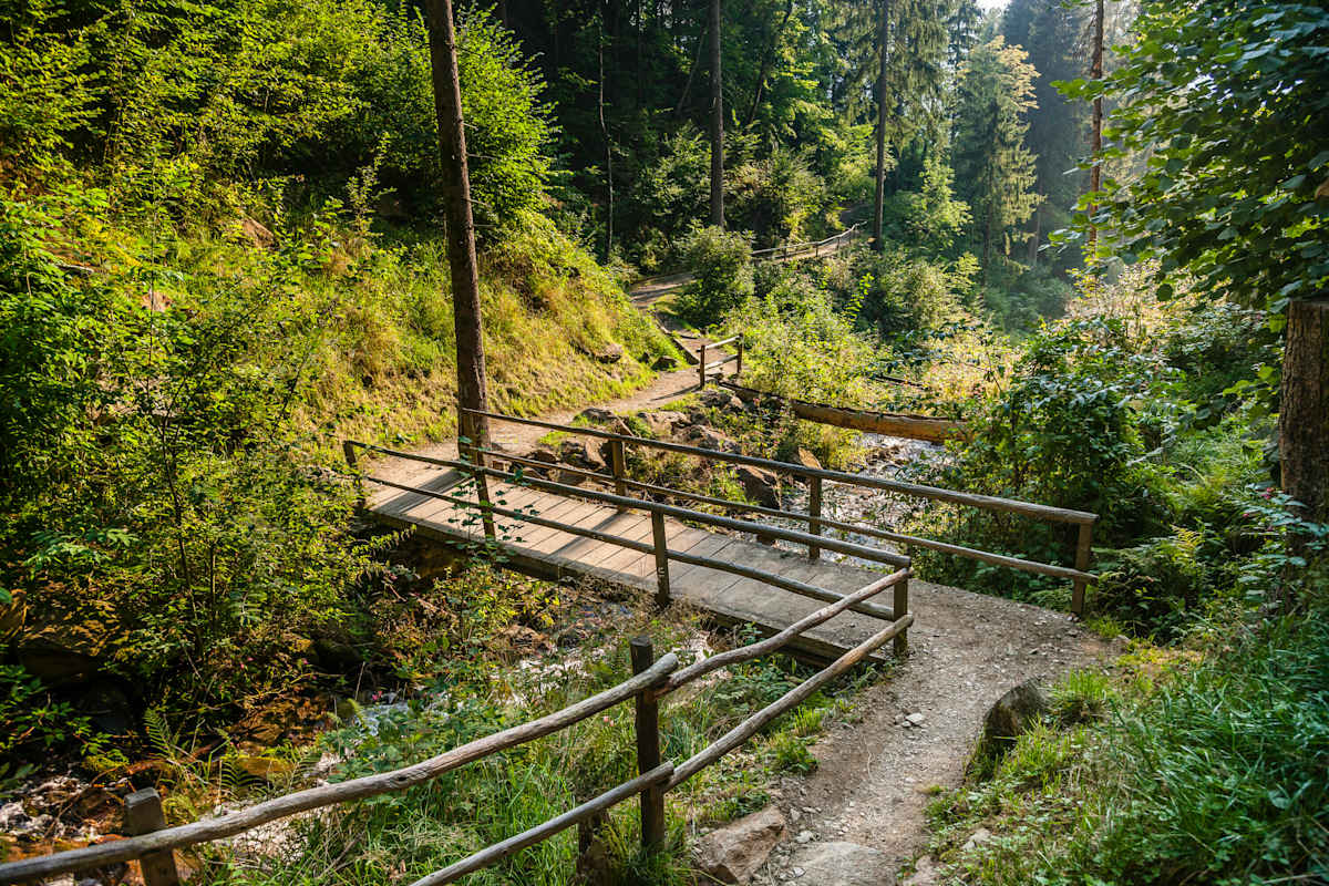 Die Wanderung entlang des Waalwegs von Schenna ist auch gut für Kinder geeignet.
