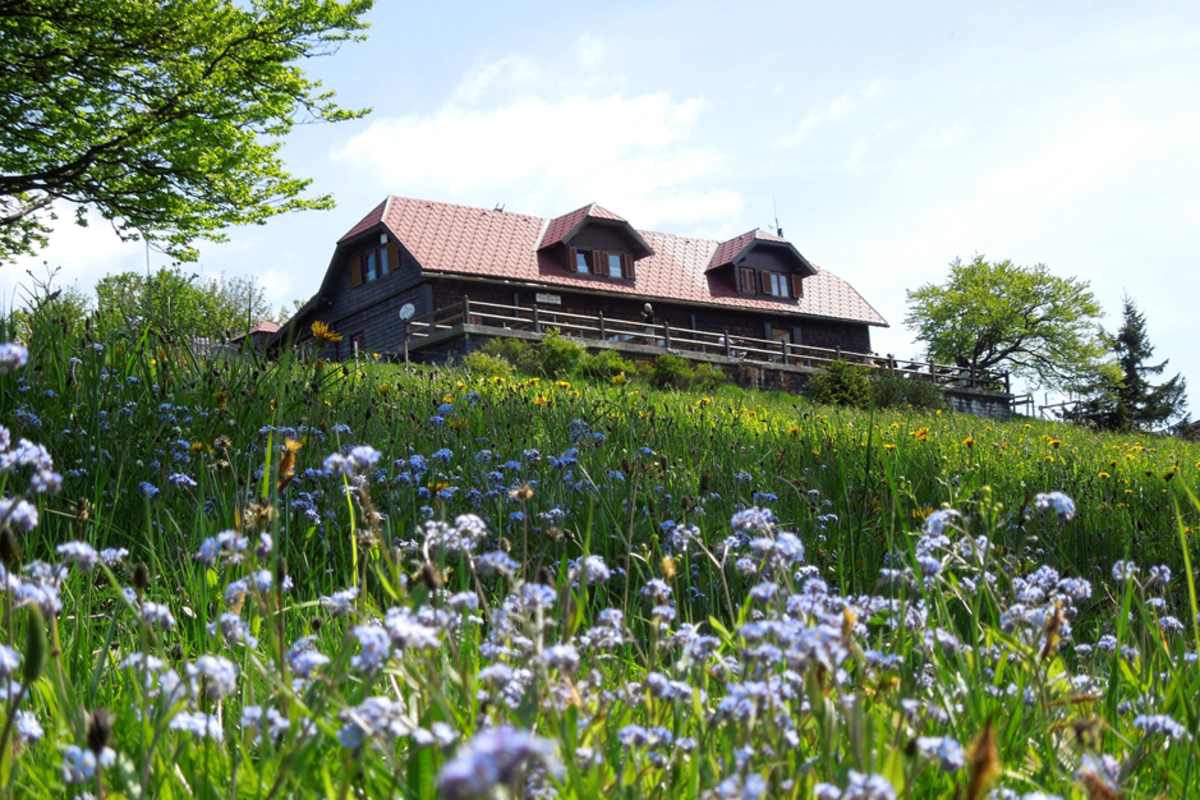 6 Hütten, die das Klima retten