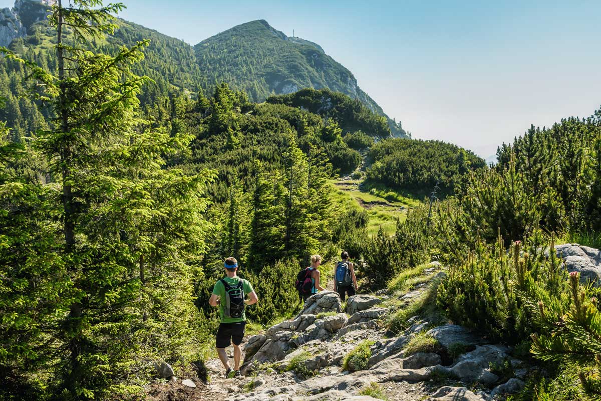Unterwegs am Mairalmsteig, der ältesten und einfachsten Route auf den Traunstein. Links oben die Gmundner Hütte, vorn das Gipfelkreuz.