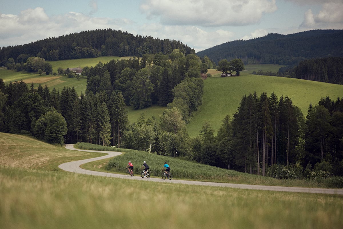 Eine Gruppe fährt mit dem Rad im Mühlviertel zu dritt.