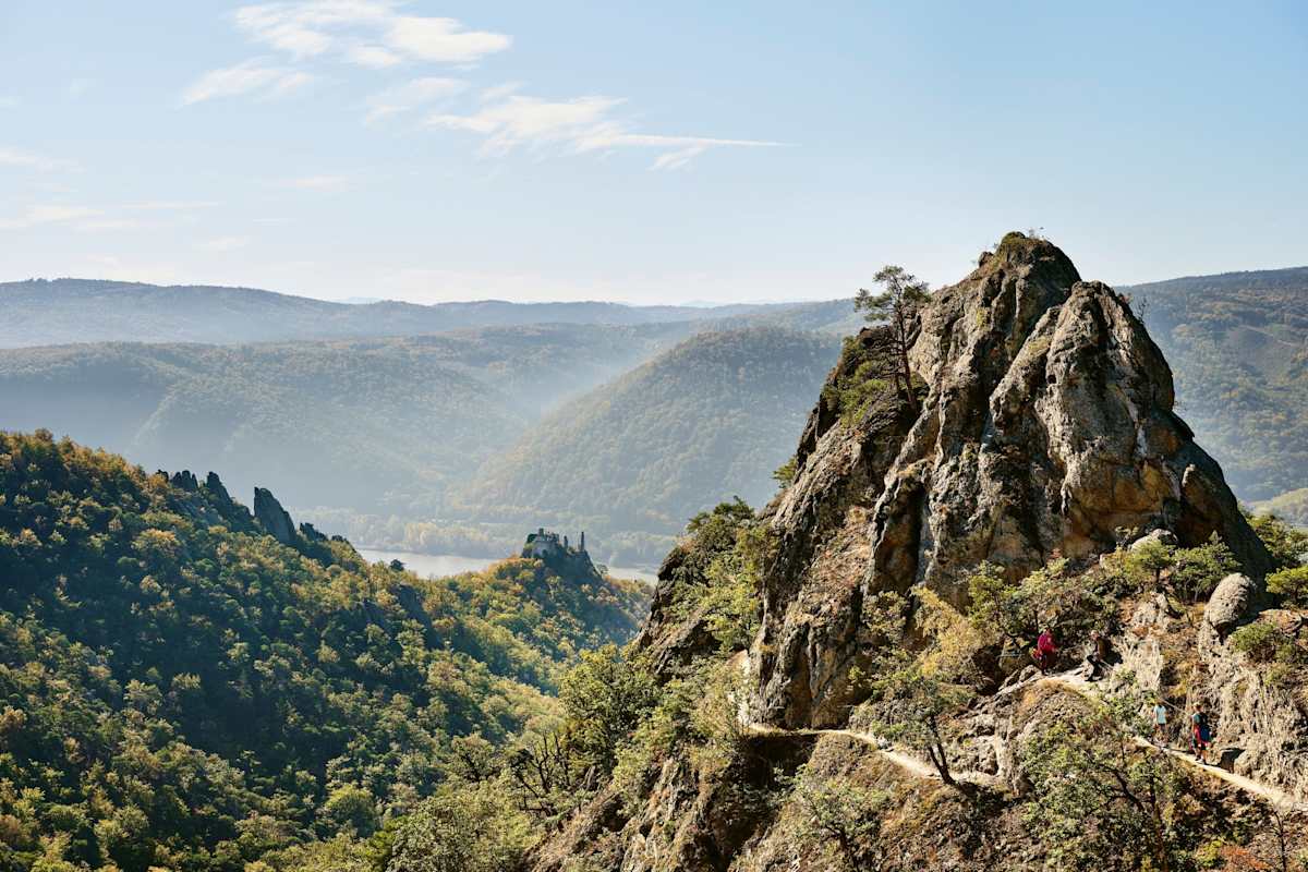 Der Vogerlbergsteig in der Wachau.