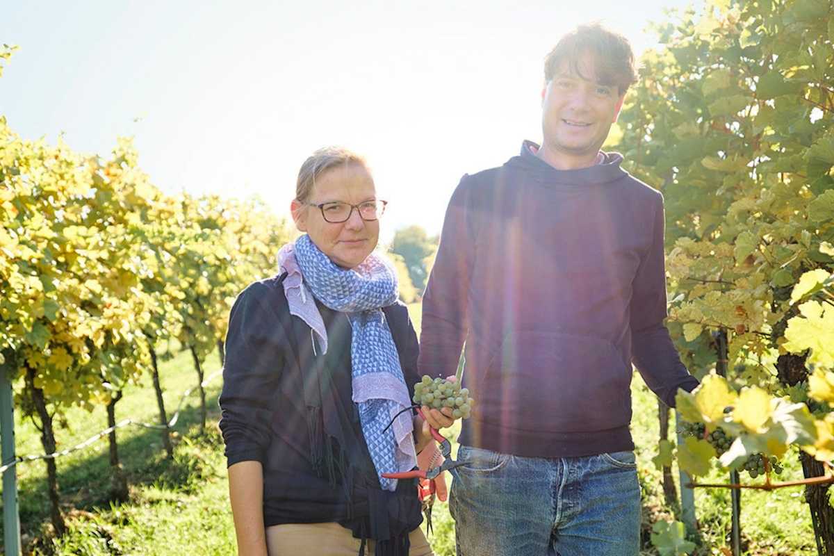 Winzer begutachten ihre Trauben.