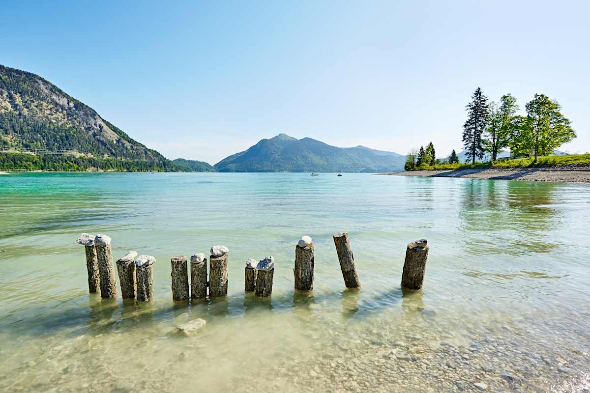 Das Seeufer des Walchensees