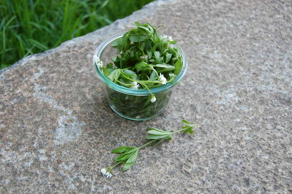 Selbstgemacht: Waldmeisterbowle